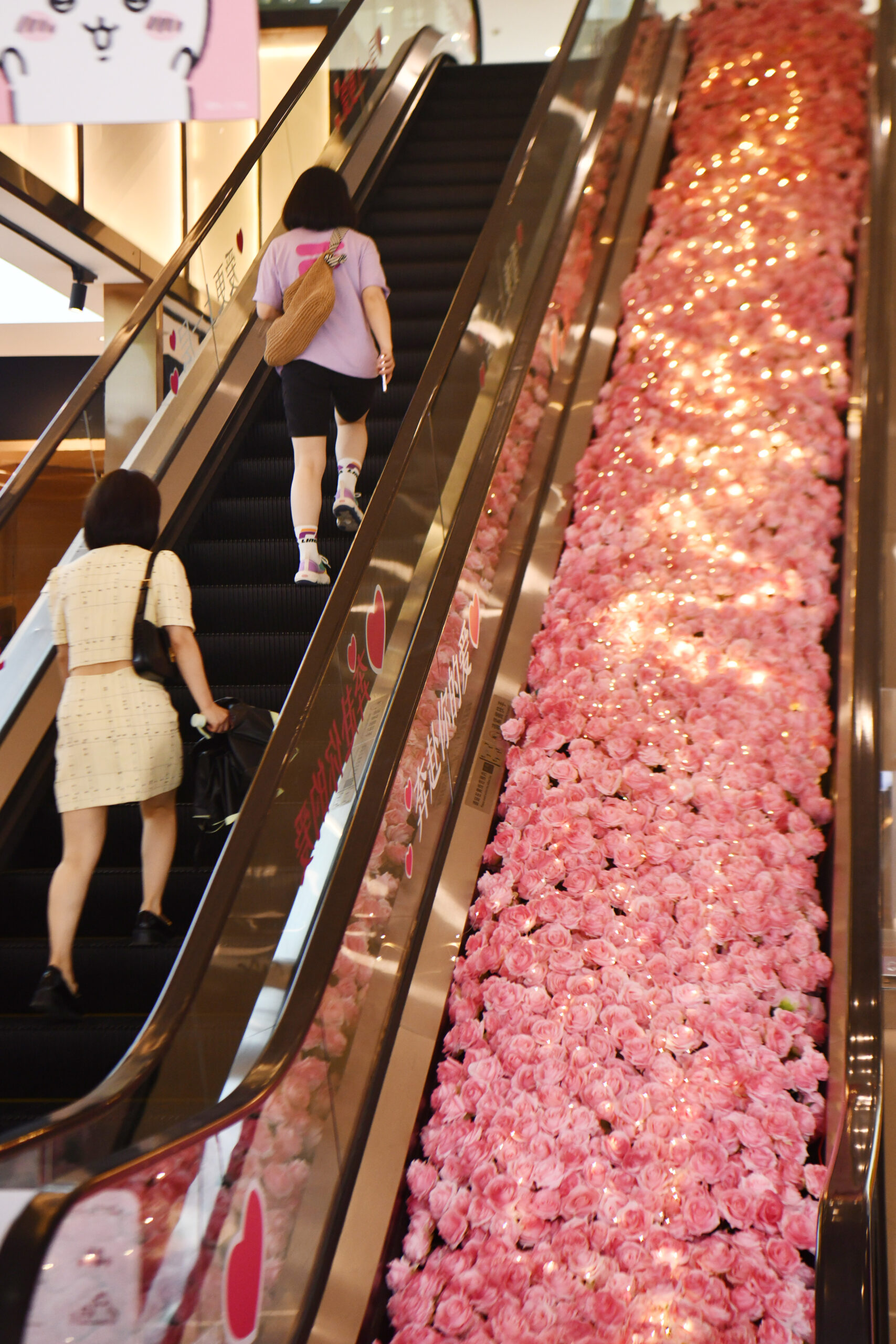 四川成都：上万朵“玫瑰花”打造“浪漫电梯”