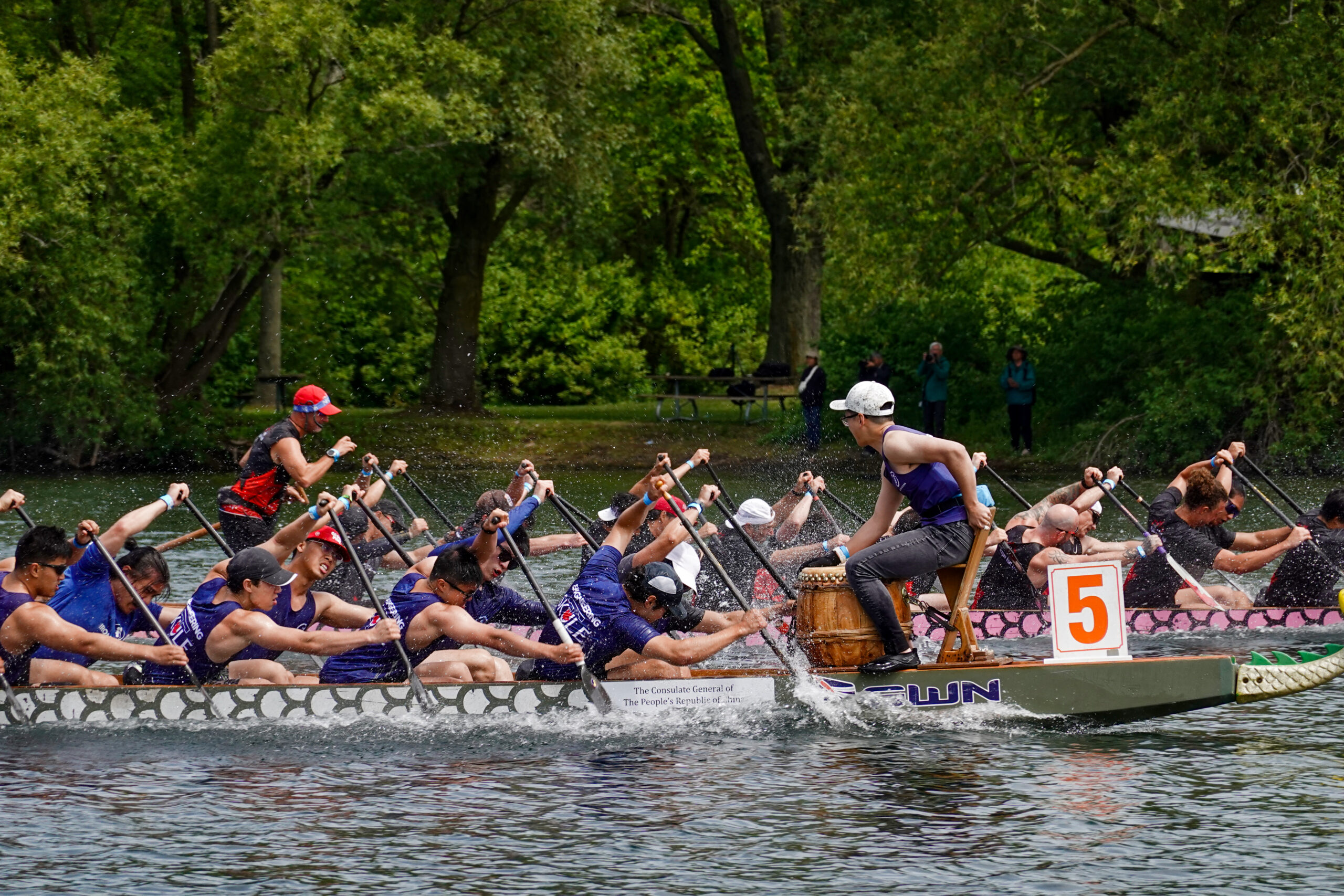 加拿大多伦多举行第36届国际龙舟节