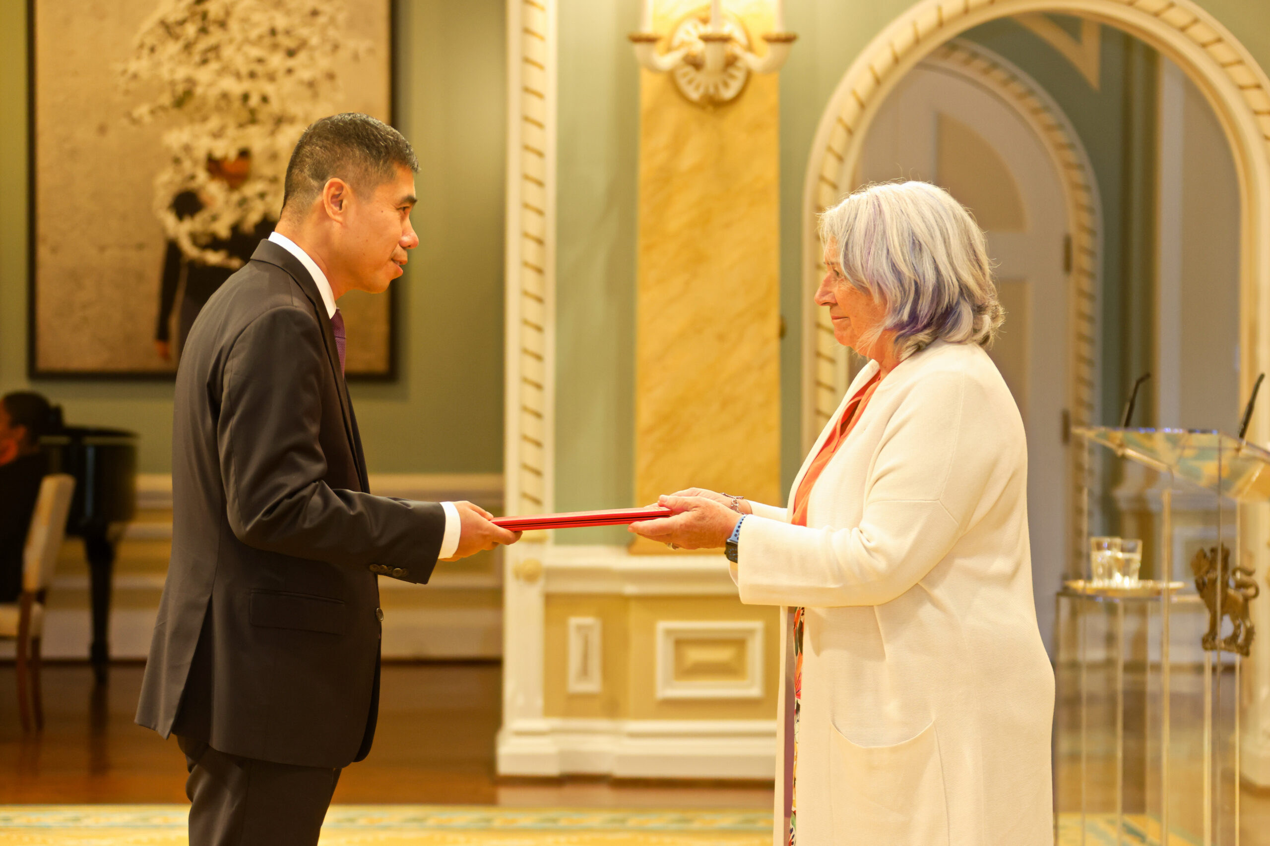 新任中国驻加拿大大使王镝向加总督递交国书