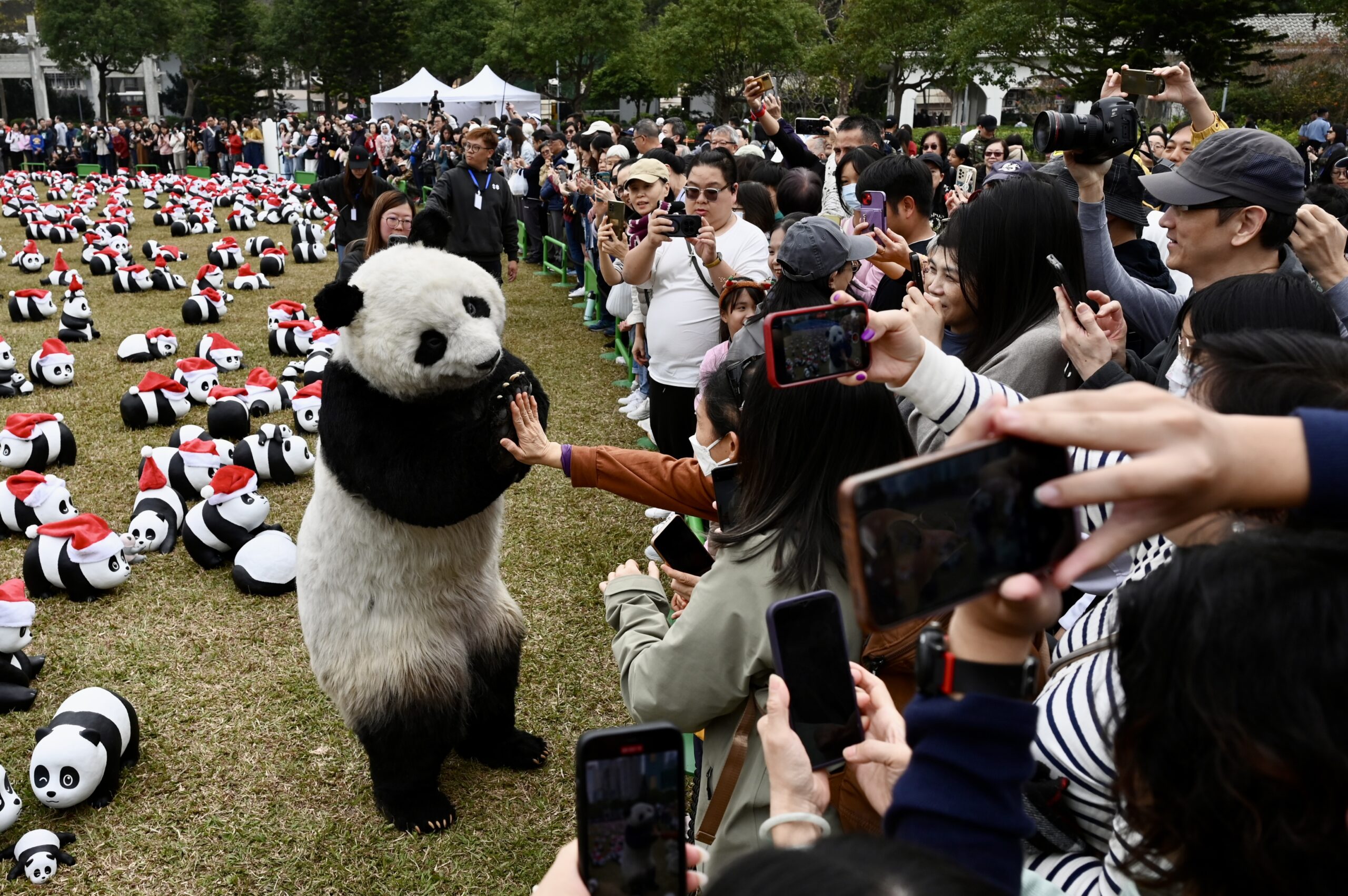 仿真“大熊猫”现身“PANDA GO！香港游”活动与观众互动